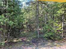 LOT 13 EAST Road Northern Bruce Peninsula