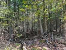 LOT 13 EAST Road Northern Bruce Peninsula