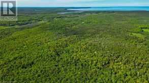 LOT 13 EAST Road Northern Bruce Peninsula