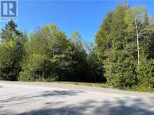 LOT 13 EAST Road Northern Bruce Peninsula