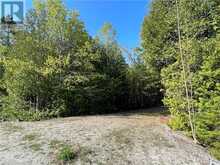 LOT 13 EAST Road Northern Bruce Peninsula