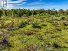 LOT 39 BARTLEY Drive Northern Bruce Peninsula