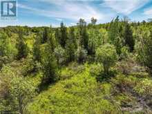 LOT 39 BARTLEY Drive Northern Bruce Peninsula