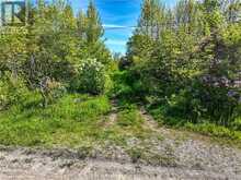 LOT 39 BARTLEY Drive Northern Bruce Peninsula