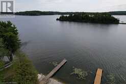 38 ISLANDVIEW Drive Chesley Lake