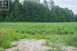 PT LOT 11-12 SIDEROAD 10 Chatsworth (Twp)