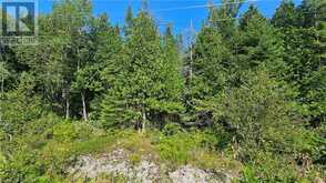 PT LT 35 CON 3 WBR MURRAY Avenue Northern Bruce Peninsula