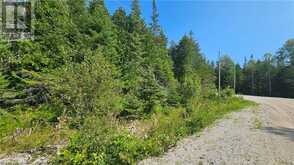 PT LT 35 CON 3 WBR MURRAY Avenue Northern Bruce Peninsula