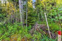 LOT 53 SPRY SHORE Road Northern Bruce Peninsula