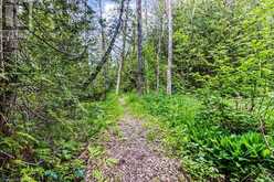 LOT 53 SPRY SHORE Road Northern Bruce Peninsula