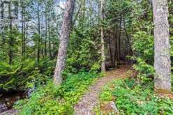 LOT 53 SPRY SHORE Road Northern Bruce Peninsula