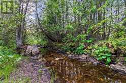 LOT 53 SPRY SHORE Road Northern Bruce Peninsula