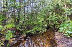 LOT 53 SPRY SHORE Road Northern Bruce Peninsula