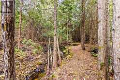 LOT 53 SPRY SHORE Road Northern Bruce Peninsula