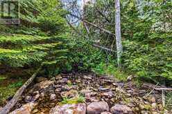 LOT 53 SPRY SHORE Road Northern Bruce Peninsula