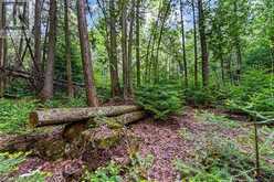 LOT 53 SPRY SHORE Road Northern Bruce Peninsula