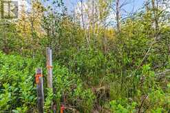 LOT 53 SPRY SHORE Road Northern Bruce Peninsula