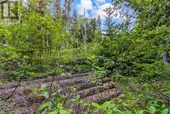 LOT 53 SPRY SHORE Road Northern Bruce Peninsula