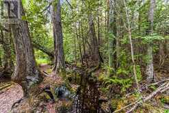 LOT 53 SPRY SHORE Road Northern Bruce Peninsula