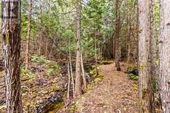 LOT 53 SPRY SHORE Road Northern Bruce Peninsula