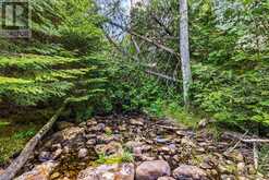 LOT 53 SPRY SHORE Road Northern Bruce Peninsula