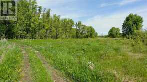 204542 HIGHWAY 26 Meaford 