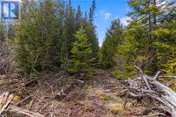 LOT 47 GREENOUGH POINT Road Northern Bruce Peninsula