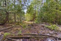 LOT 47 GREENOUGH POINT Road Northern Bruce Peninsula