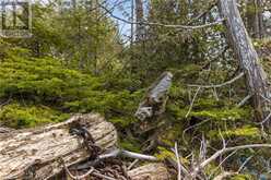 LOT 47 GREENOUGH POINT Road Northern Bruce Peninsula