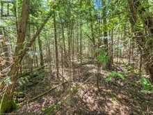 LOT 13 TRILLIUM CROSSING Northern Bruce Peninsula