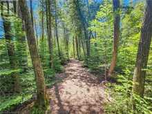 LOT 13 TRILLIUM CROSSING Northern Bruce Peninsula