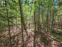 LOT 13 TRILLIUM CROSSING Northern Bruce Peninsula