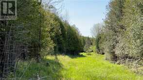 557329 4TH Concession S Meaford