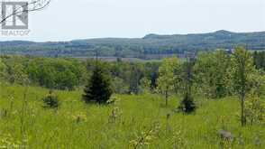 557329 4TH Concession S Meaford (Municipality)