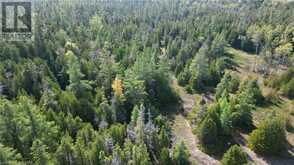 PT LT 12 CON 5 WBR SHAW Road Northern Bruce Peninsula