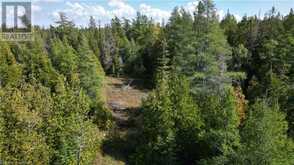 PT LT 12 CON 5 WBR SHAW Road Northern Bruce Peninsula