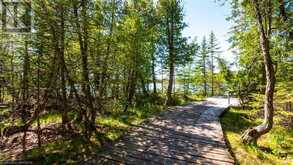 LOT 5 TRILLIUM Crossing Northern Bruce Peninsula