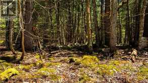 LOT 5 TRILLIUM Crossing Northern Bruce Peninsula