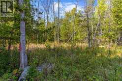 LOT 36 CON D SAUBLE FALLS Parkway South Bruce Peninsula