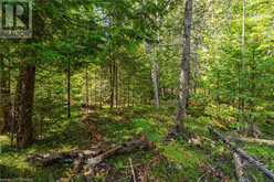 LOT 36 CON D SAUBLE FALLS Parkway South Bruce Peninsula