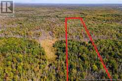 LOT 36 CON D SAUBLE FALLS Parkway South Bruce Peninsula