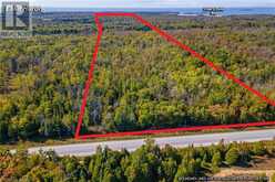 LOT 36 CON D SAUBLE FALLS Parkway South Bruce Peninsula