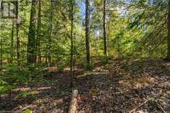 LOT 36 CON D SAUBLE FALLS Parkway South Bruce Peninsula