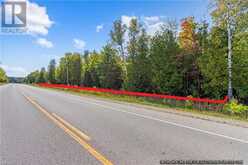 LOT 36 CON D SAUBLE FALLS Parkway South Bruce Peninsula