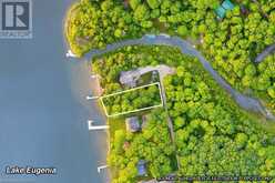 202 LAKESHORE Boulevard Grey Highlands