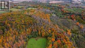 084482 SIDEROAD 6 Meaford