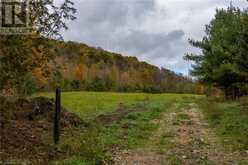 084482 SIDEROAD 6 Meaford