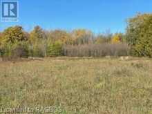 264011 SIDEROAD 24 Meaford 