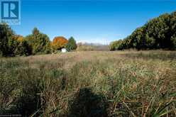 264011 SIDEROAD 24 Meaford 