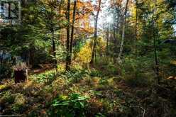 LOT 35 JAY Street Port Elgin